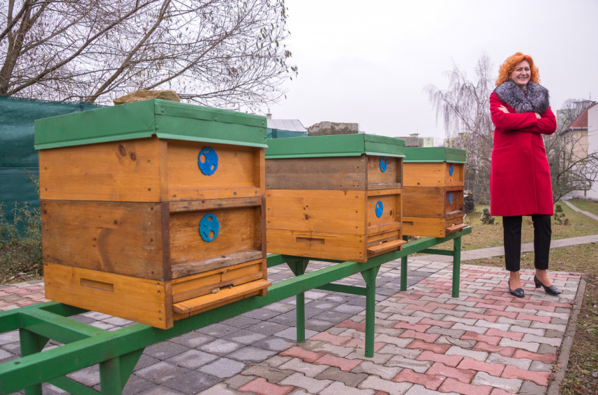 Včelnica – prírodná odborná učebňa