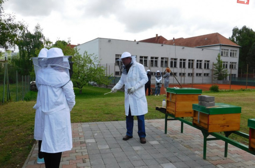 Včelnica – prírodná odborná učebňa