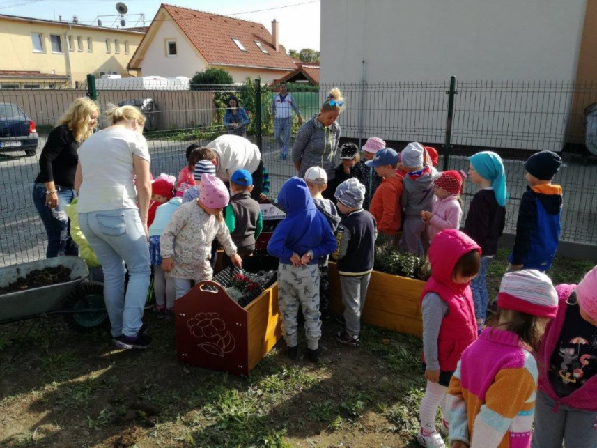 Ekohranie v záhrade